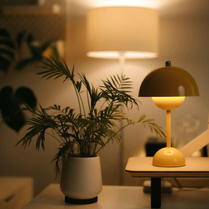 Warm LED Desk Lamp